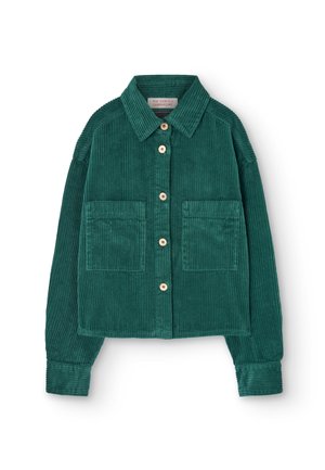 BEABULL - Light jacket - green