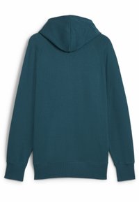Felpa con cappuccio color turchese, con polsini e orlo a coste, realizzata in un tessuto testurizzato e con maniche raglan, vista da dietro.