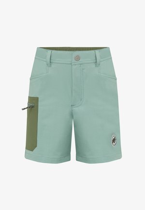 Lichtgroene knielange shorts met een olijfgroene zijzak met rits en een klein afgerond logo bij de zoom.
