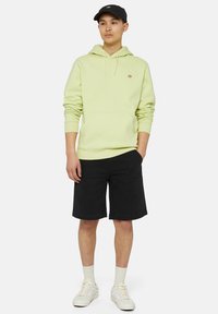 Dickies OAKPORT HOODIE - Hoodie - pale green