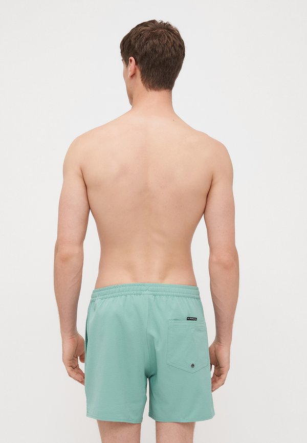 EVERYDAY FLEX VOLLEY - Swimming shorts2