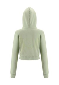 Korte, hooded sweatshirt van lichtgroene stof met een zachte textuur. Heeft een geborduurd ontwerp op de achterkant en ribbelboorden aan de mouwen en onderkant.