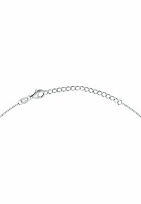 FAVS Collana - zilveren kleur