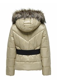 ONLY ONLFEVER  - Chaqueta de invierno - incense