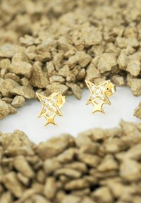 Sofia Milani Örhänge - gold coloured
