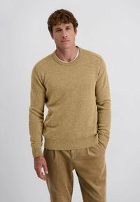 Man met lichtbruin krullend haar, gekleed in een beige trui en tan corduroy broek, staat met één hand in de zak tegen een effen achtergrond.