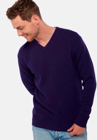 Mahogany HIPPOLYTE - Pullover - deep purple