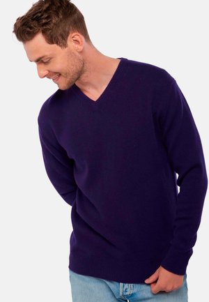 Mahogany HIPPOLYTE - Strickpullover - deep purple
