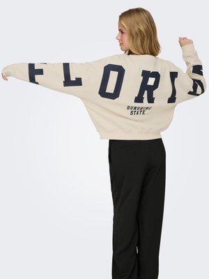 ONLY BACK SLEEVE PRINT - Sweatshirt - birch