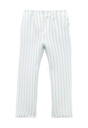 Lichtblauwe en witte gestreepte broek van een textuurstof, met een knoopsluiting en plooien bij de taille. Rechstreeks ontwerp.