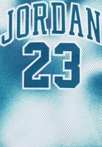 Jordan 23 UNISEX - Viršus - industrial blue