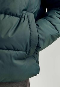 Jack & Jones JJMOON PUFFER - Ziemas jaka - magical forest