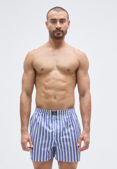 Pánske boxerky modro-biele pruhované s elastickým pásom a malou značkovou etikietou. Vyrobené z ľahkej látky.