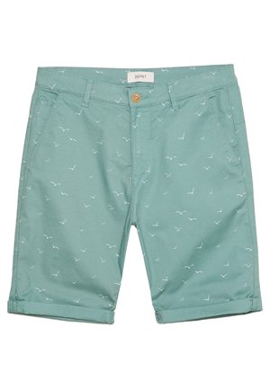 Shorts - teal