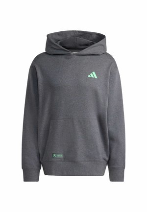 Grijze hoodie van zacht materiaal, met een voorzak, verstelbare trekkoordkap, en een mintgroen merklogo op de borst.