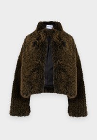 INDIA JACKET - Winterjacke - black