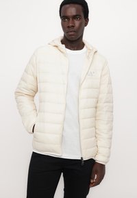 EA7 Emporio Armani TRAIN CORE LIGHT JACKET - Jachetă cu puf - whitecap gray