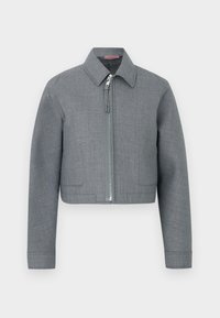 Šedá krátka bunda s dlhými rukávmi, špicatým golierom a centrálne umiestneným strieborným zipsom na jednoduchom bielom pozadí.