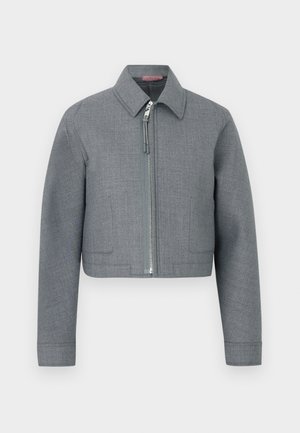 Pilka trumpinta striukė su ilgomis rankovėmis, smailia apykakle ir centrinio sidabro spalvos užtrauktuku ant paprasto balto fono.