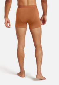 Ruske puuvillasegu bokserid, millel on ühtlane värvitoon, elastne vöökoht ja istuv lõige, näidates tagakülge ja jalalõikeid.