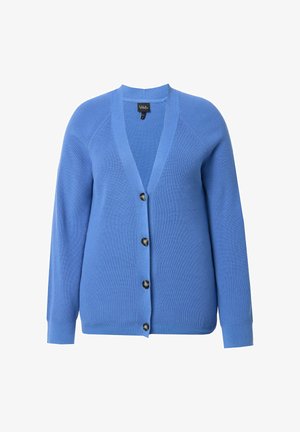 Sininen neulecardigan, jossa on V-kaula-aukko, pitkät hihat ja viisi suurta pyöreää mustaa nappia edessä. Ribbaustekstuuri hihoissa ja helmassa.