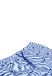 Ciabalù Shorts da mare - royal blue