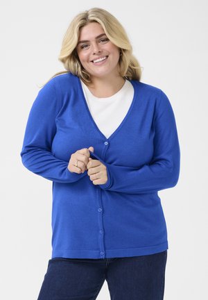 FARSIA - Cardigan - surf the web