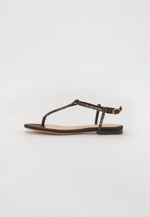 Sandals - chocolate lab