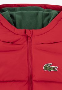 Lacoste CORE PUFFER JKT UNISEX - Vinterjakke - red