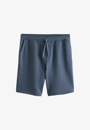 REGULAR FIT BRUSHED - Kratke hlače - vintage blue
