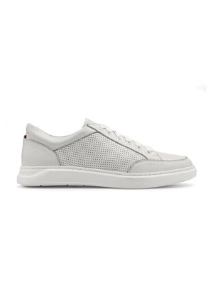 - Sneakersy niskie