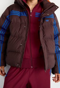Bruine donzen jas met blauwe strepen, ritssluiting aan de voorkant en drukkers. Daaronder een bordeauxrode trainingspak met bijpassende geribde manchetten en tailleband.