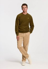 Shiwi Džemperis - green olive