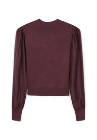 Blusa lunga viola scuro con maniche a sbuffo trasparenti e polsini e colletto a costine, presentata da dietro.