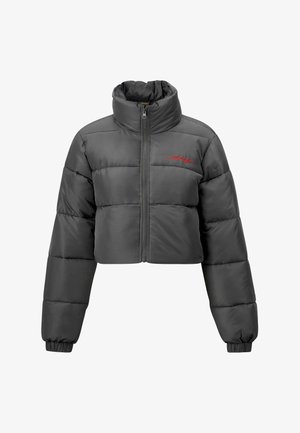 Gekürzte graue Daunenjacke mit aufrechtem Kragen, Frontreißverschluss und rotem Logodetail. Verfügt über gepolsterte Bereiche und elastische Bündchen.