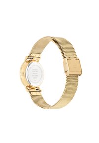Montre avec bracelet en maille dorée, boîtier en acier inoxydable rond, finition métallique lisse et fermoir poli. Présente un fond de boîtier blanc gravé.