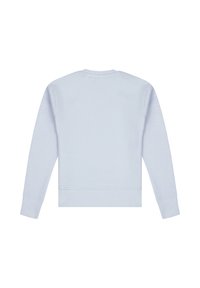 Sweatshirt bleu clair, en mélange de coton, col ras du cou, manches longues, bords-côtes aux manches et à l'ourlet, texture lisse, uni sans motifs ni accents.