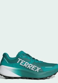Scarpa da corsa turchese con tomaia in rete, marchio "TERREX" bianco e intersuola a strati. Presenta una suola in gomma testurizzata per la trazione.