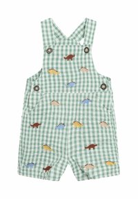 Pantalones de tirantes de cuadros verdes con piernas cortas, con dinosaurios bordados de colores y detalles en botón plateado en los tirantes.