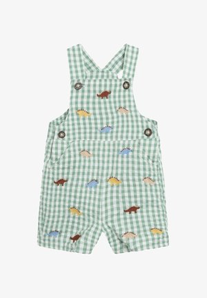 Roheline gingham-kangast üleüldiselt lühikeste jalgadega, millel on mitmevärvilised tikitud dinosaurused ja hõbedased nööbid rihmadel.