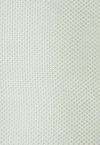 Next TEXTURED  WEDDING  SET  - Altri accessori - light green