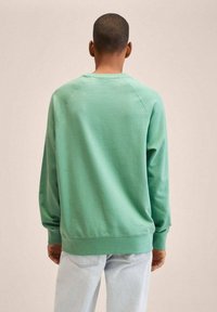 Felpa verde in cotone con collo rotondo, maniche raglan e polsini e orlo a coste. Tessuto morbido, vestibilità casual, vista posteriore.