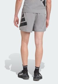 Gray athletic shorts featuring black diagonal stripes, a lightweight material, and a relaxed fit, paired with black TERREX shoes and socks.
