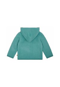 Felpa in pile turchese con una consistenza morbida, tasche frontali e un grande cappuccio. Presenta polsini a coste e un'etichetta decorativa sull'orlo.