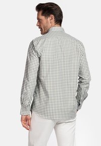 Button-up shirt in een groen en wit geruit patroon, van katoen, met lange mouwen, kraag, knoopmanchetten en zijsplits.