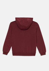 Moleton com capuz na cor burgundy, feito de tecido macio. Apresenta um bolso tipo canguru, punhos canelados e um corte descontraído com uma bainha plana.