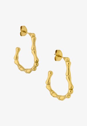 Pari kultaisia renkaskorvakoruja, joissa on teksturoidun luiden segmentteihin muistuttava muotoilu ja takakiinnitteiset lukot.