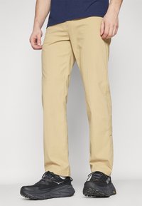 Patagonia QUANDARY PANTS - Szabadtéri nadrágok - classic tan
