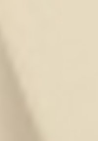 Beige textured surface with a smooth finish, featuring subtle variations in shading and light reflection. No distinct patterns or accents visible.