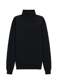 Schwarzer Rollkragenpullover aus Strickmaterial, mit langen Ärmeln und gerippten Bündchen, schlichtem Design und ohne sichtbare Muster.